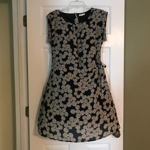 Tulle Drawstring Waist dress